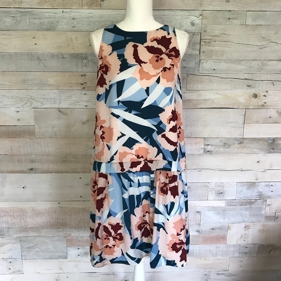 Paris Sunday Dresses & Skirts - NEW Paris Sunday Floral Drop Waist A Line Dress M